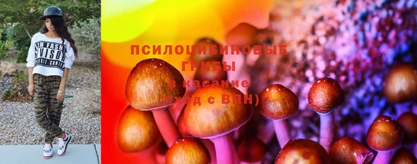 соль курить ск Новый Уренгой