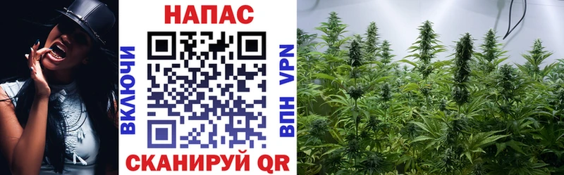 купить наркотики сайты  Дрезна  Марихуана план 